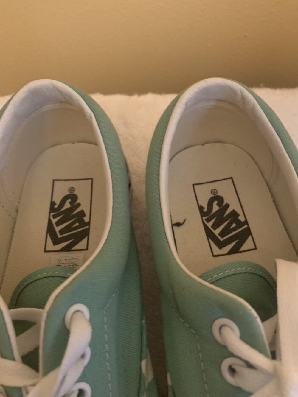 Vans - Picture 6 of 7